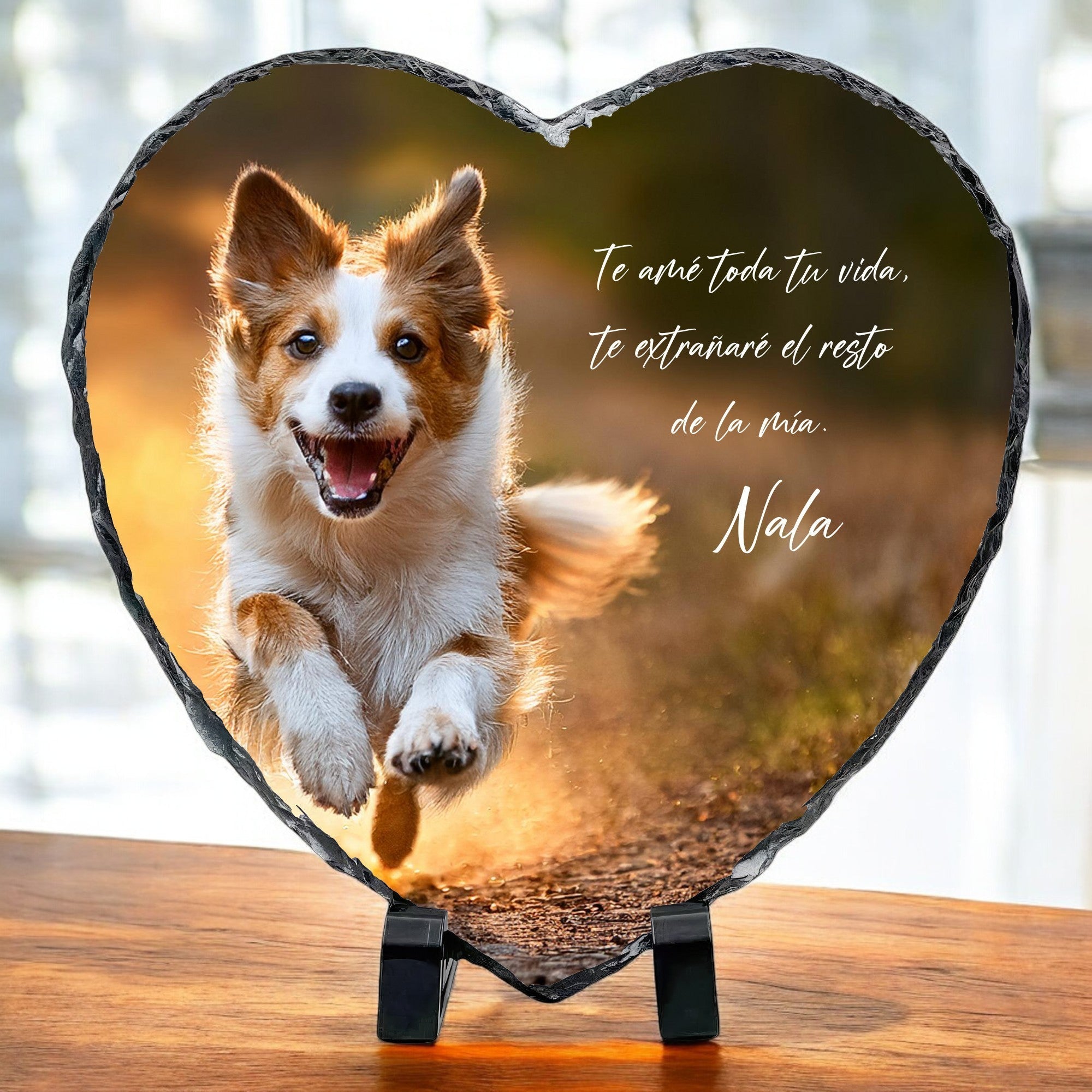 My Cutie Dog & Cat Blog