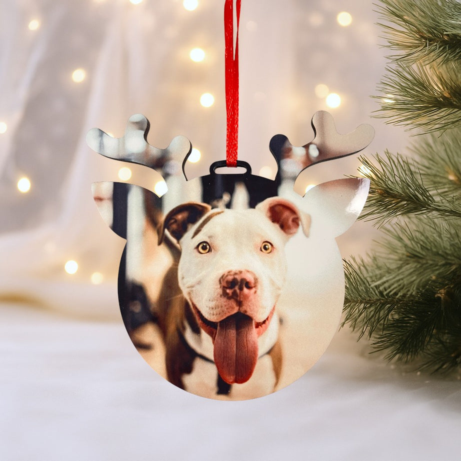 Adorno para árbol con foto