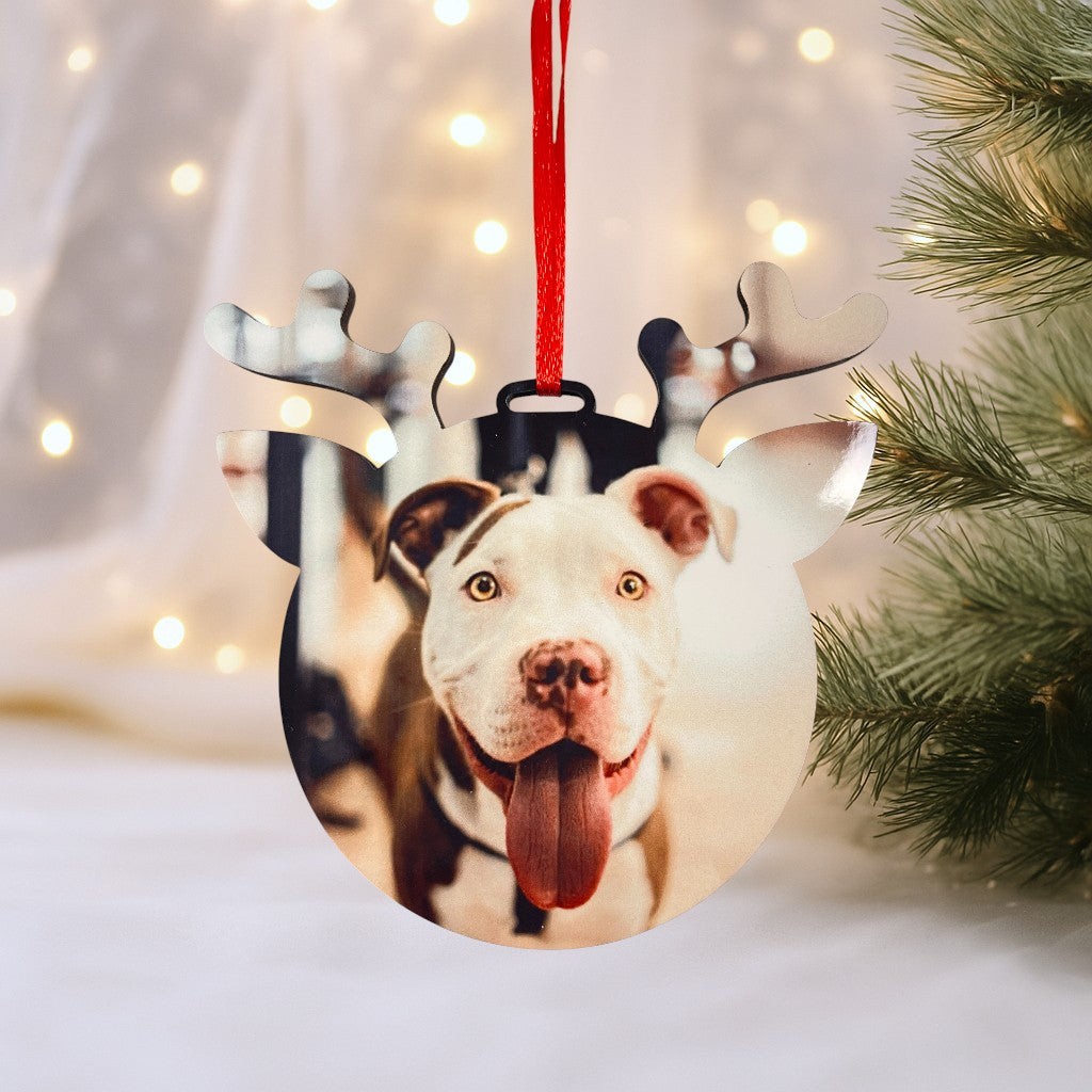 Adorno para árbol con foto