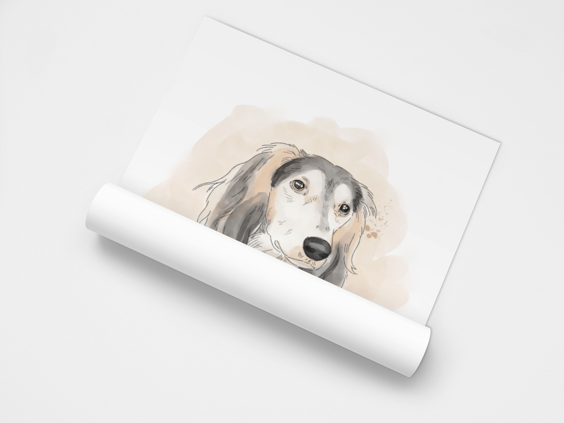 Ilustración Estilo Acuarela