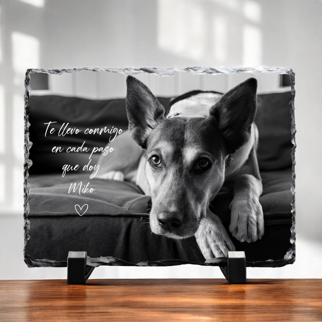 Fotopanel pizarra Landscape