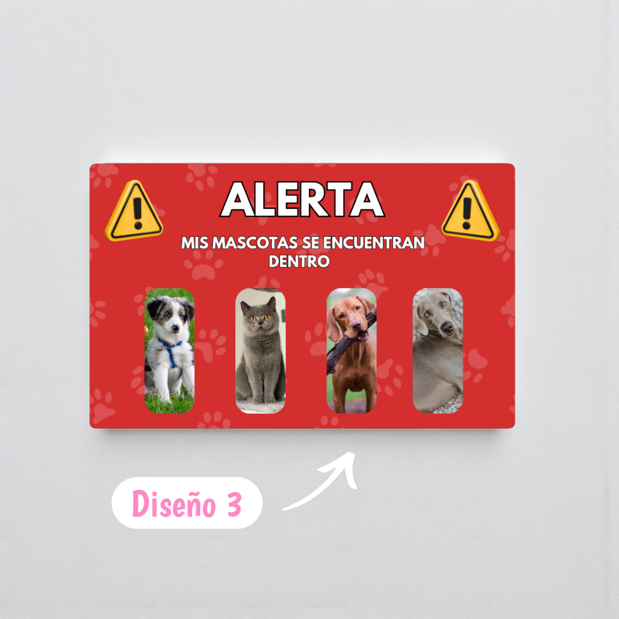 Tarjeta de emergencia + 1 GRATIS